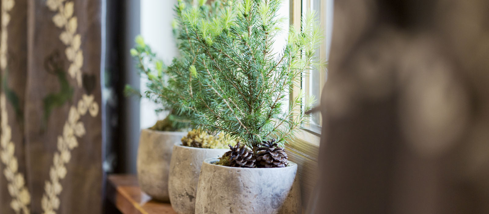 Natürliches Interieur