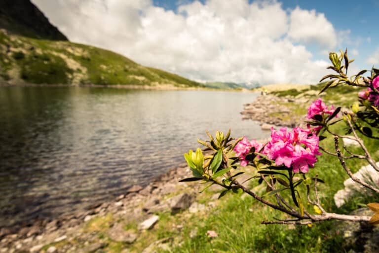 Salzburger Bauernherbst in Dorfgastein Erleben Sie den Bauernherbst in Dorfgastein, wo traditionelles Brauchtum noch immer lebendig ist. Bei den Veranstaltungen gibt es viele Aktivitäten wie Themenwanderungen, Brotbacken und Schaukäsen. Natürlich kann man die soeben hergestellten Produkte gleich vor Ort kosten. Platzkonzerte und Heimatabende runden das Kulturprogramm ab.