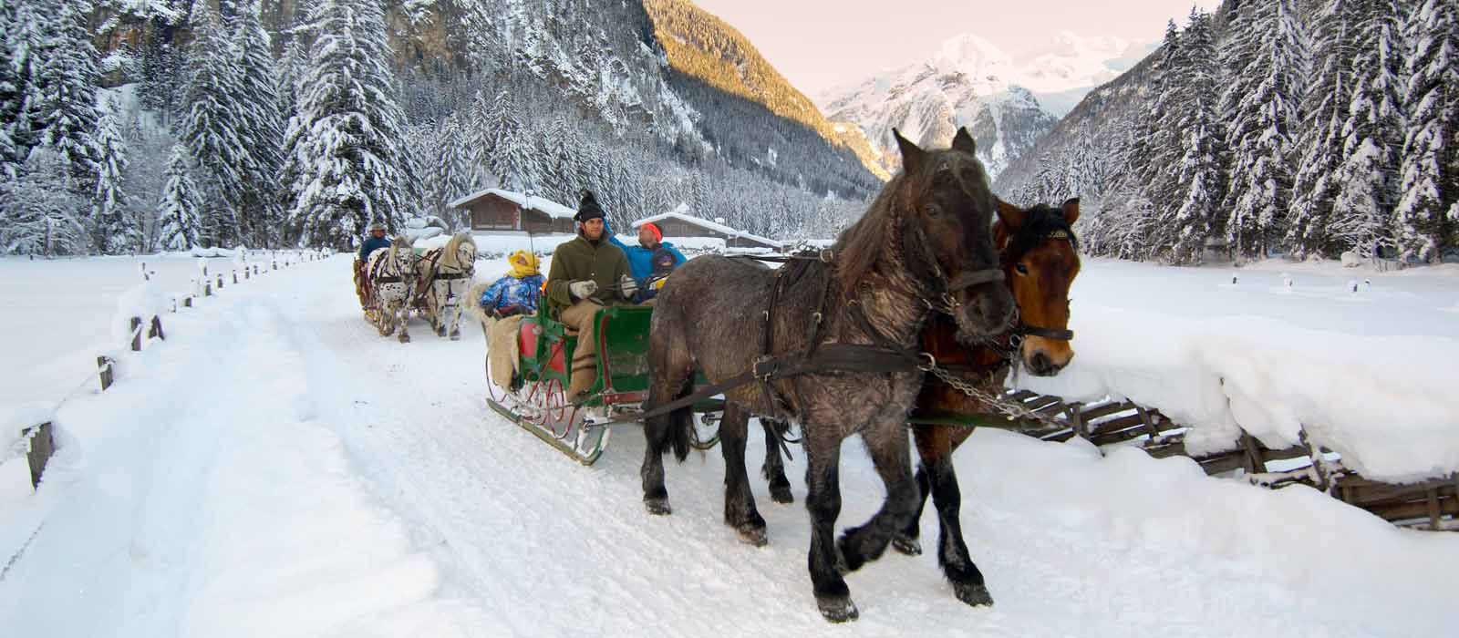 Pferdeschlittenromantik