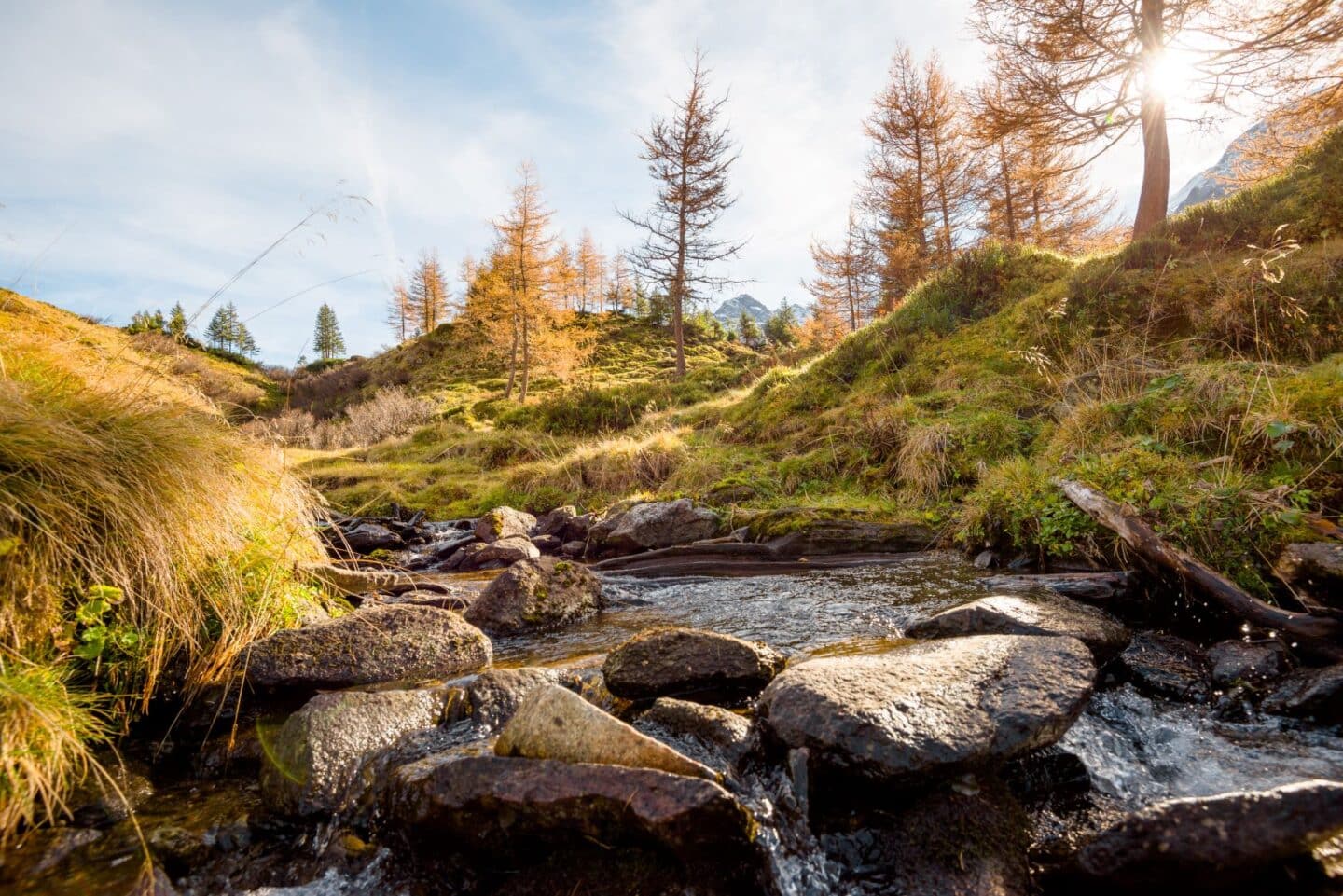 Herbststimmung am Berg in Gastein